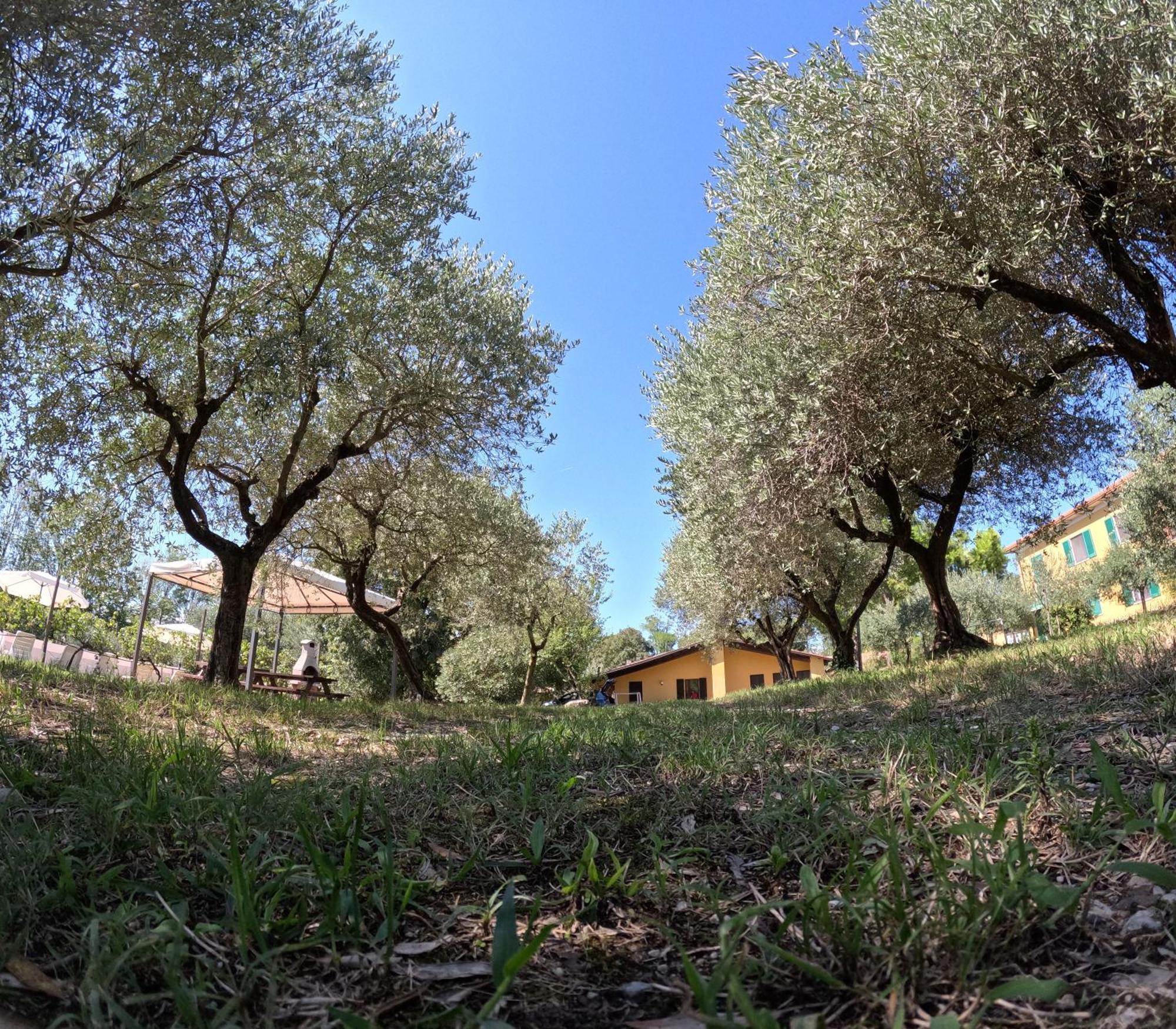 Agriturismo Gardenali Volta Mantovana Chambre photo