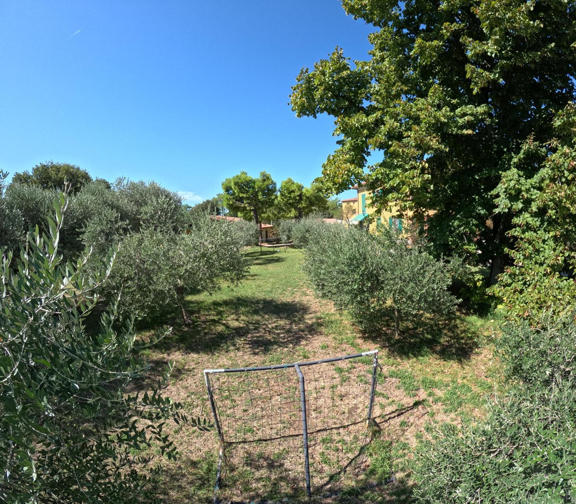 Agriturismo Gardenali Volta Mantovana Extérieur photo