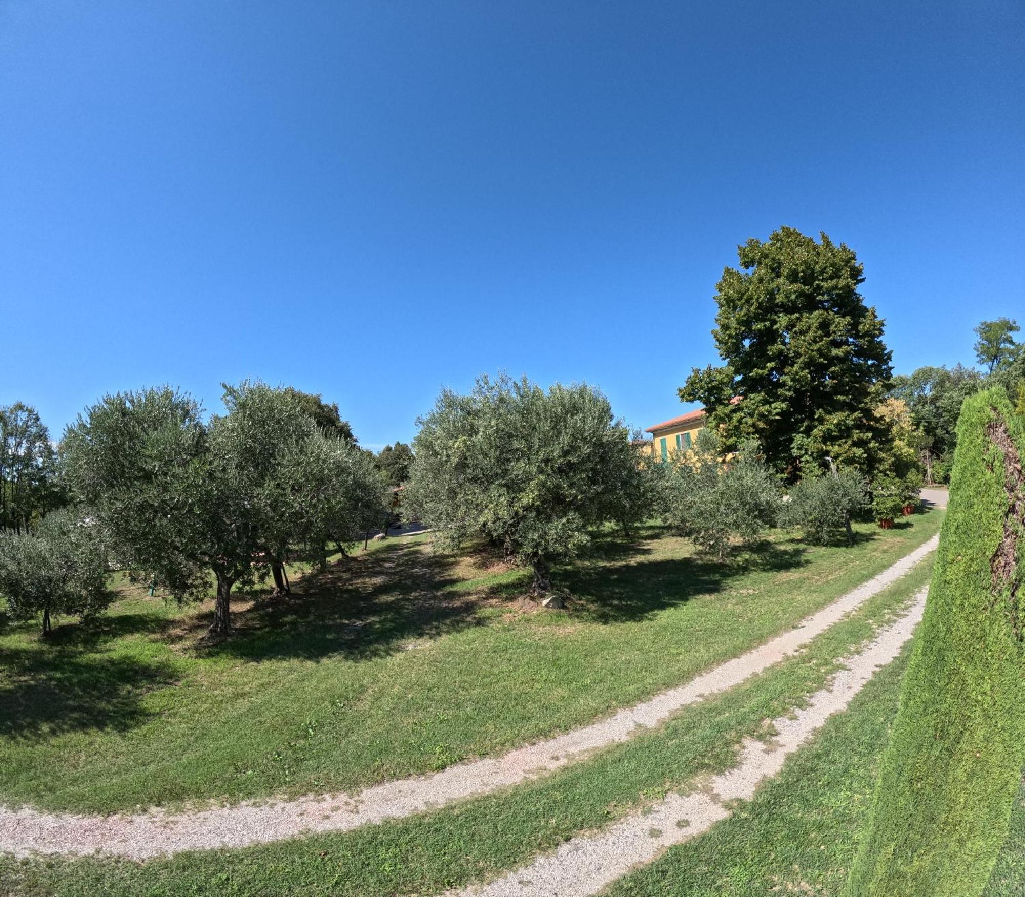Agriturismo Gardenali Volta Mantovana Extérieur photo
