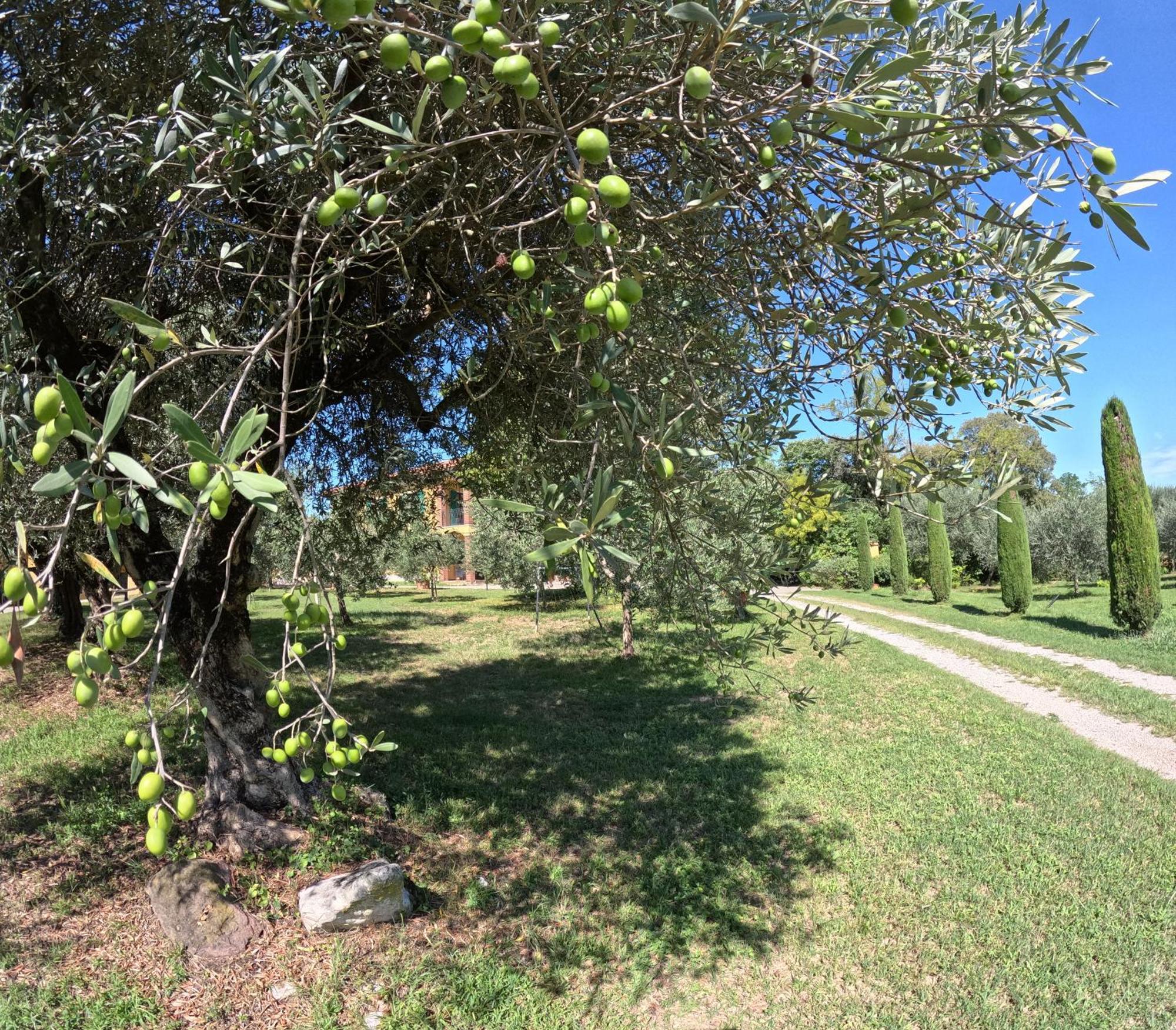 Agriturismo Gardenali Volta Mantovana Extérieur photo