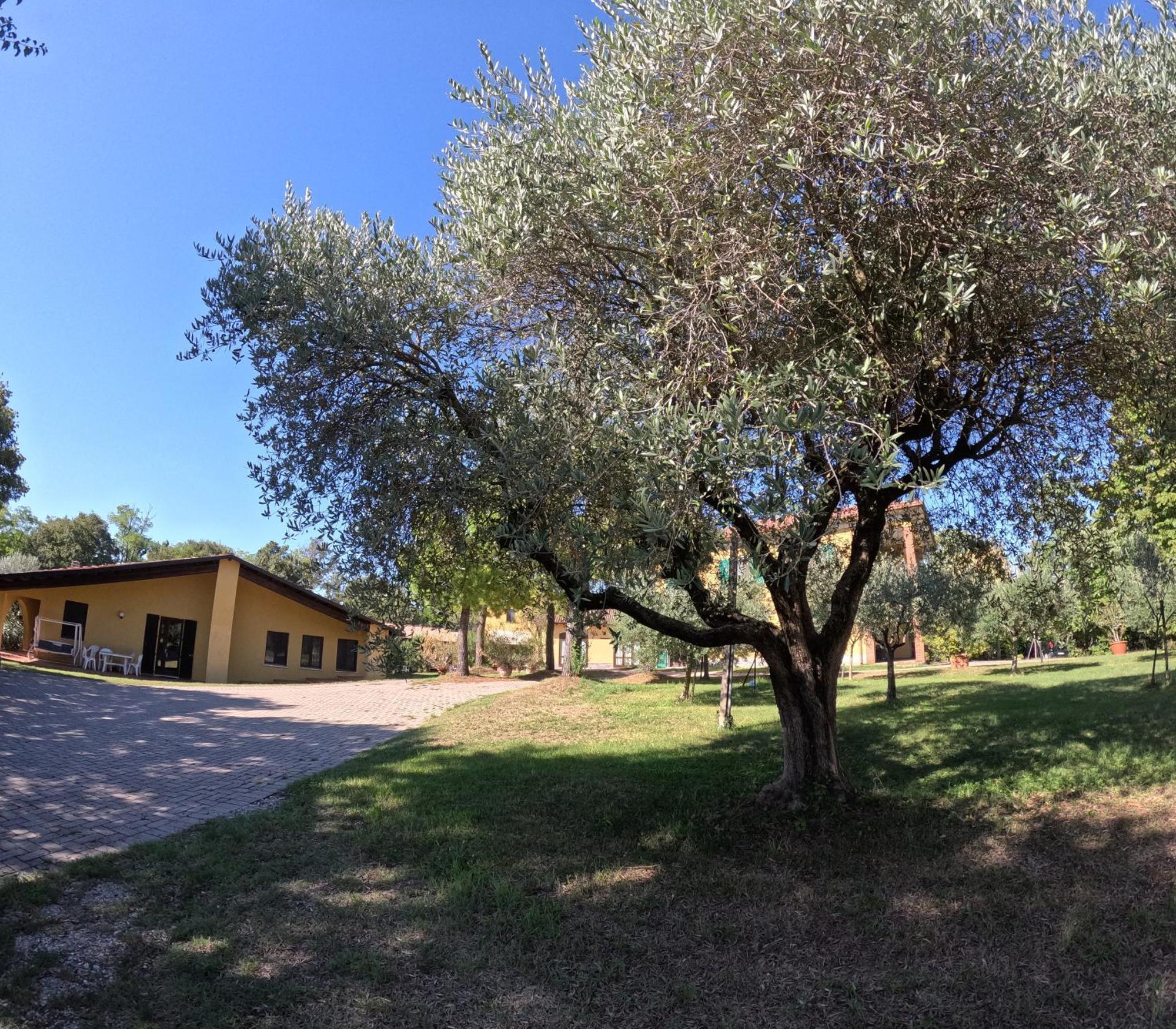 Agriturismo Gardenali Volta Mantovana Extérieur photo